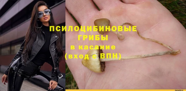 марки lsd Алзамай